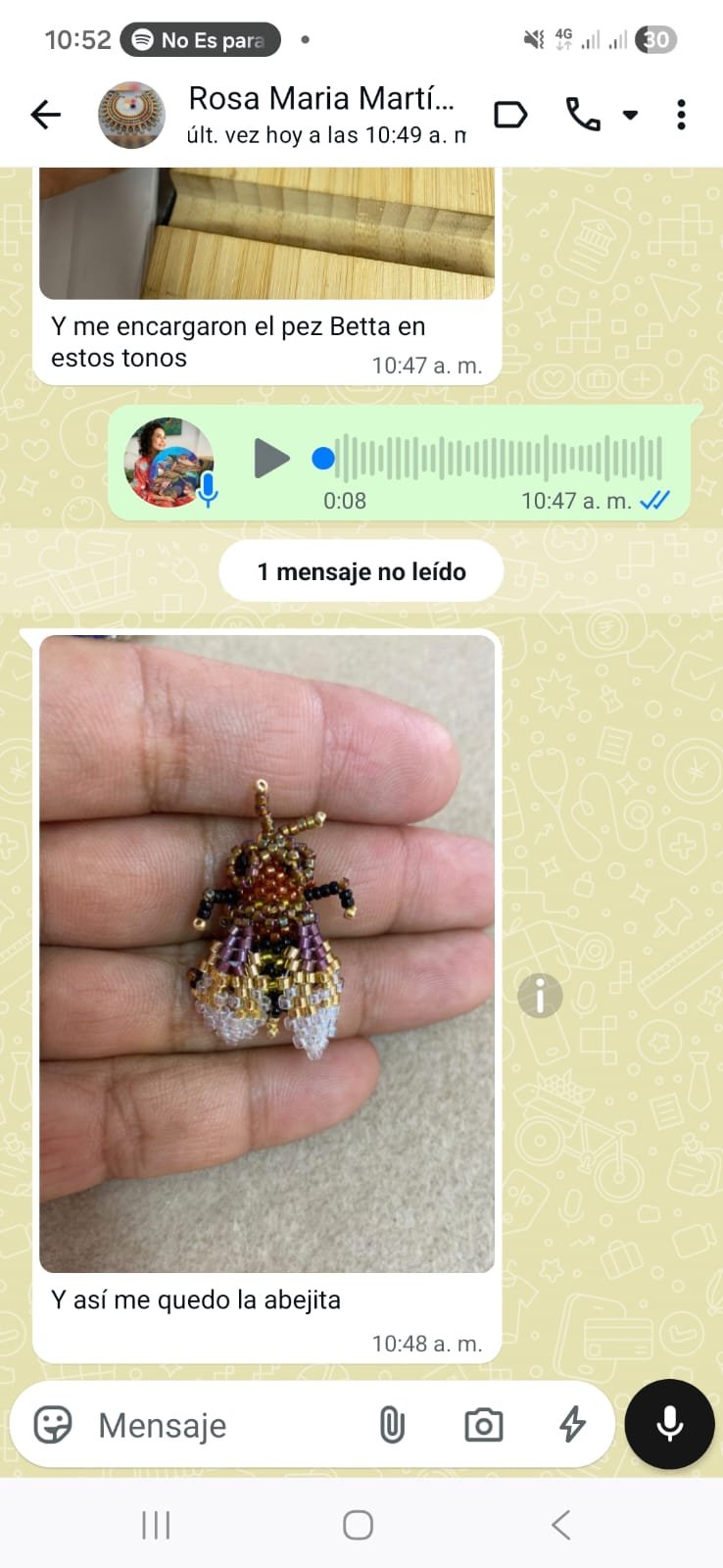 Testimonio real de Rosa Maria, alumna de Índigo Academia sobre la abejita