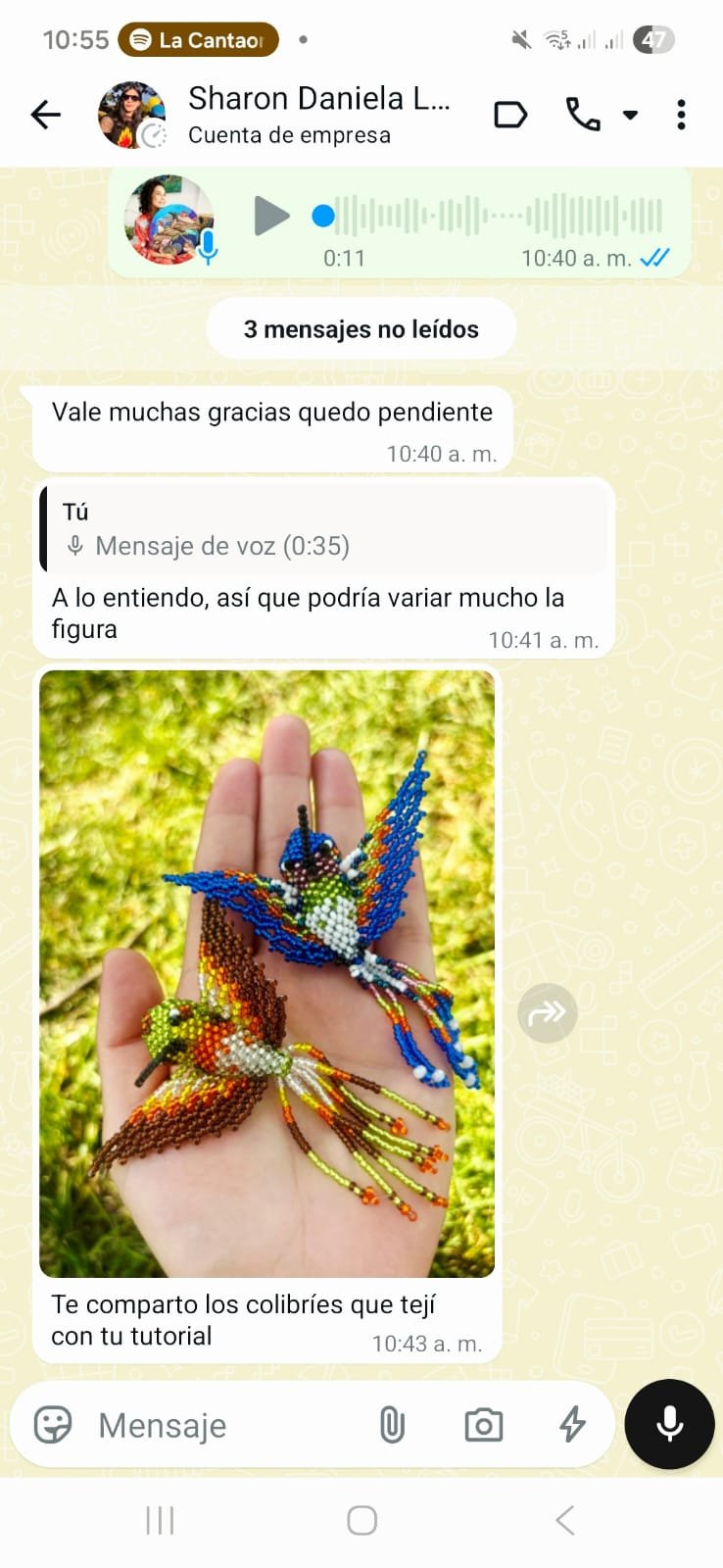 Testimonio real de Sharon Daniela, alumna de Índigo Academia sobre los colibríes