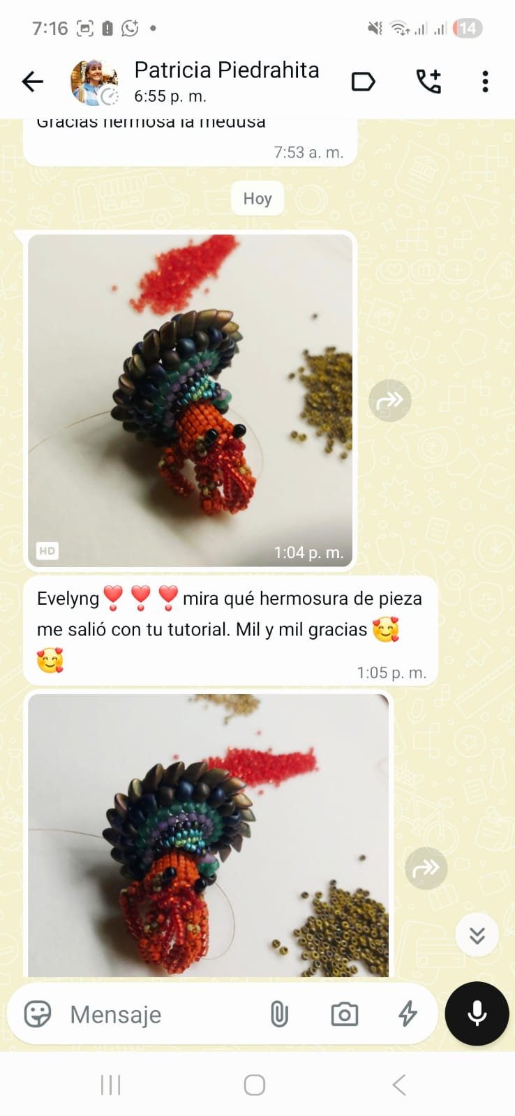 Testimonio real de Patricia Piedrahita, alumna de Índigo Academia sobre el cangrejo ermitaño