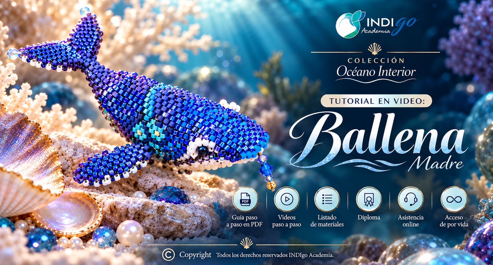 Tutorial en video Ballena Madre