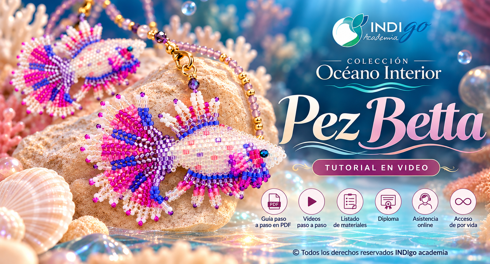 Tutorial en video Pez Betta